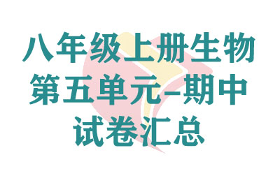 꼶ϲĵԪ-Ծ