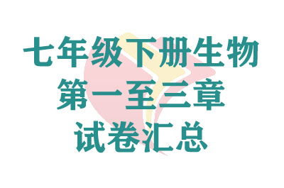 ���꼶�²�����������Ծ�����